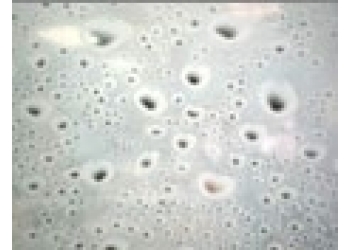 Пленка Water Drops (Капли)(AstraFilms)